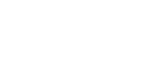 VisitorSystem.Net